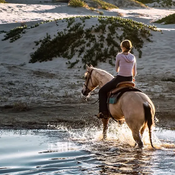 beste paardrijkleding top 10 ruitersportwinkels van nederland